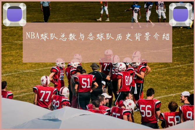 NBA球队总数与各球队历史背景介绍
