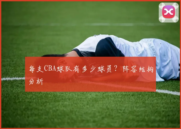 每支CBA球队有多少球员？阵容结构分析