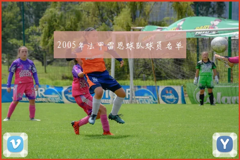 2005年法甲雷恩球队球员名单