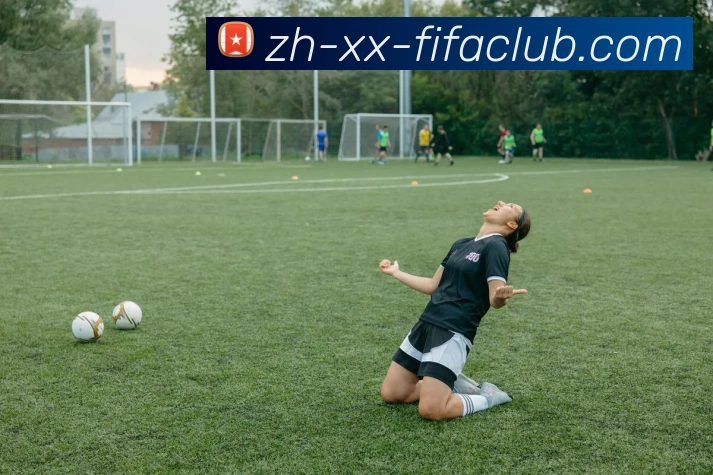 世界杯买球APP 封面图