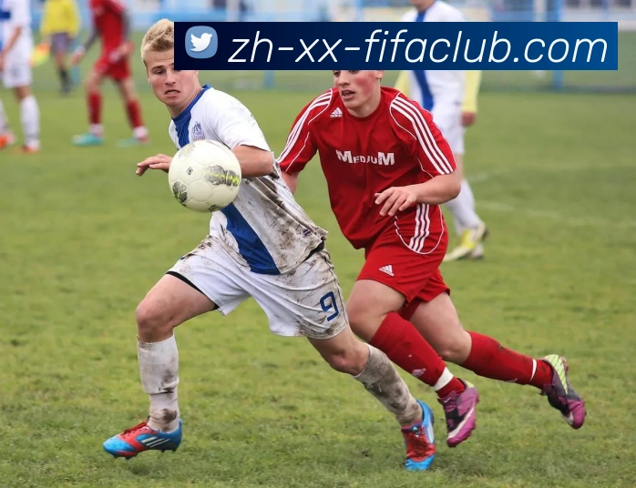 数据防护可视化