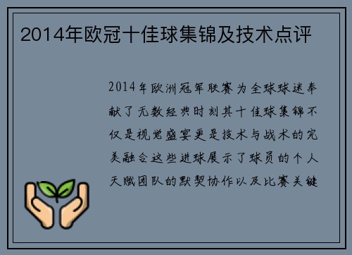 2014年欧冠十佳球集锦及技术点评